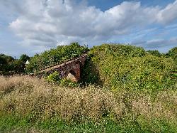 Pleshey Castle